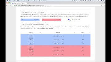 BioJupies Tutorial Part 5 of 8 - Generating a Jupyter Notebook