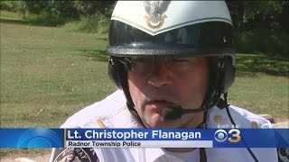 Bear Remains At Large After Multiple Sightings Near Delco Elementary School