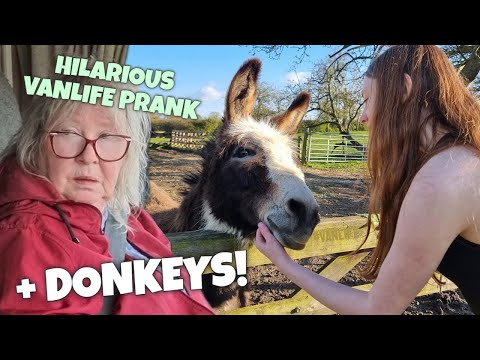 The Campsite Surprise and Donkeys | Jan Gets Pranked! #vanlife