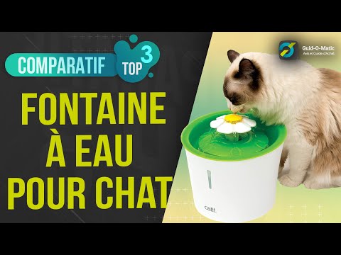 Vidéo: Comment choisir la meilleure fontaine d'eau pour chat