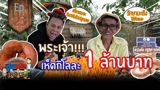 พระเจ้า! เห็ดกิโลกรัมละ 1 ล้านบาท(Mushroom, turtle) สูงเตี้ยเรี่ยดิน EP23