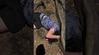 Guy slides down tree then falls and bumps head near stump