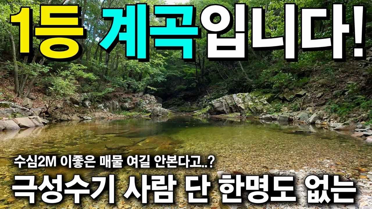 극 성수기에 사람 단 한 명도 없는~1등계곡  하옥 계곡이 내 땅 옆에? 캠핑장.펜션 그리고 체류형쉼터에 국유림600만평 둘러쌓인 땅! 세상사는 부동산