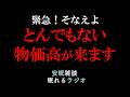 【緊急!そなえよ】6月日本を襲う超物価高(眠れるラジオ 都市伝説 作業用)安眠研究所 # 120