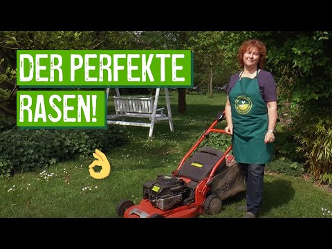 Video: Rasenpflege: Mähen, Gießen, Füttern, Putzen, Kalt Lassen