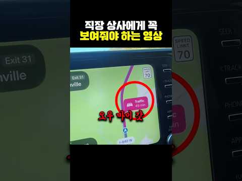 직장 상사에게 꼭 보여줘야 하는 영상 thumbnail