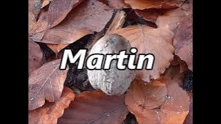 MARTIN as a family name   the meaning and origin of the name