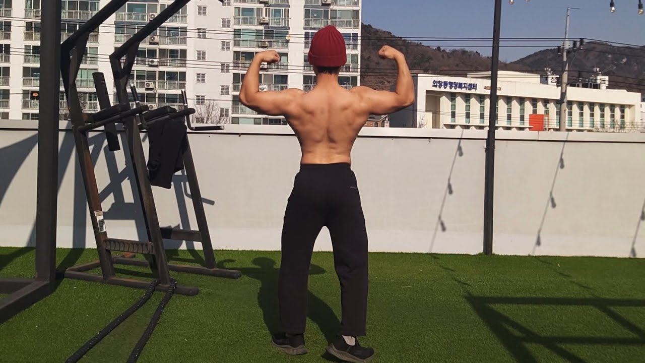 더 뇌 빼고 등 운동 20회