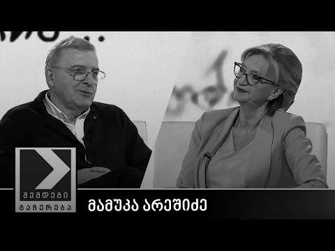 შემდეგი გაჩერება - მამუკა არეშიძე