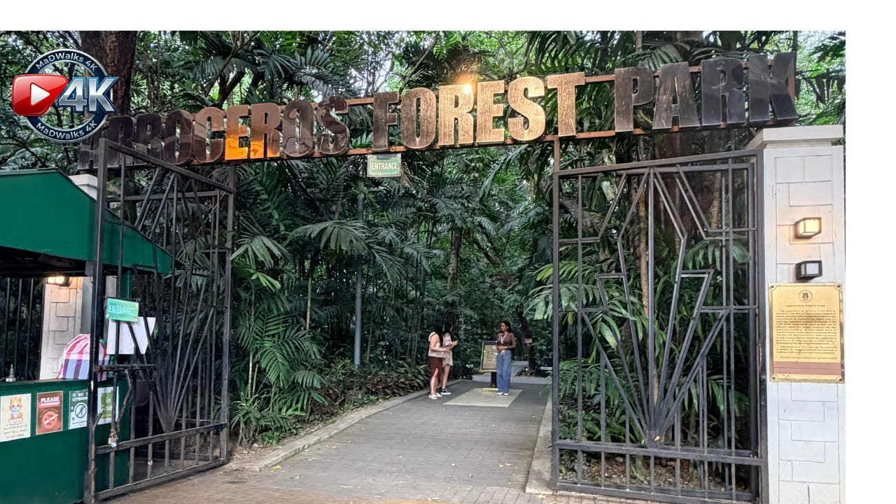 Arroceros Forest Park | The Last Lung of Manila | 4K Walking Tour