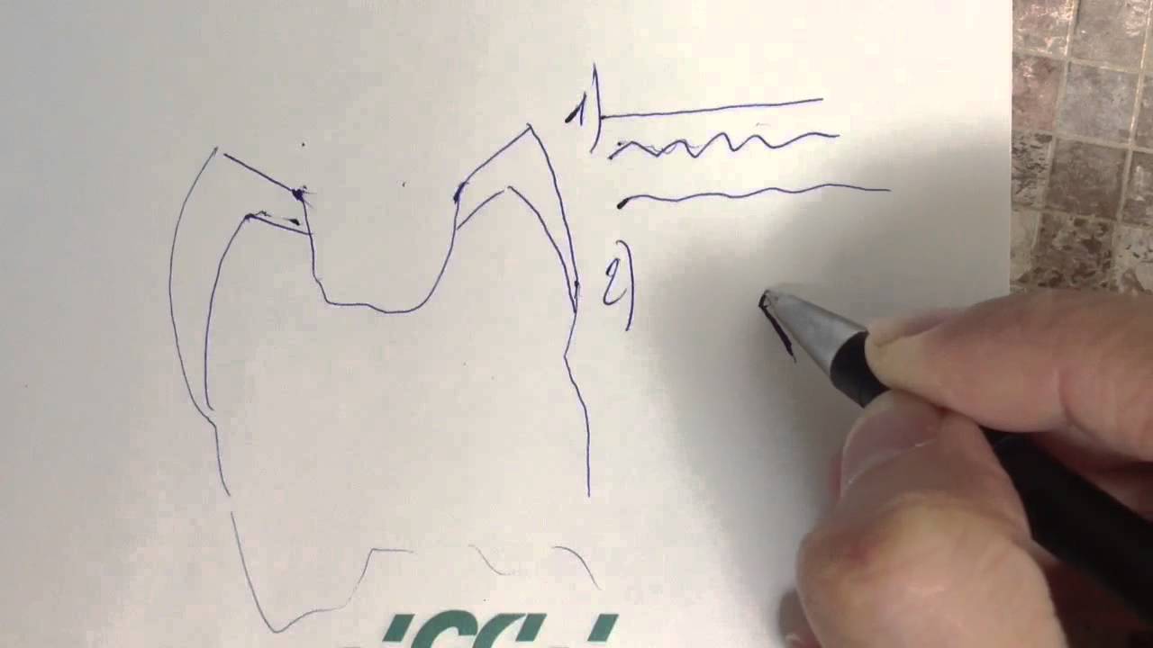 DentalПлюшки 3