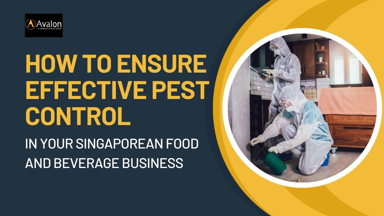 How to Ensure Effective Pest Control in Your Singaporean Food and Beverage Business