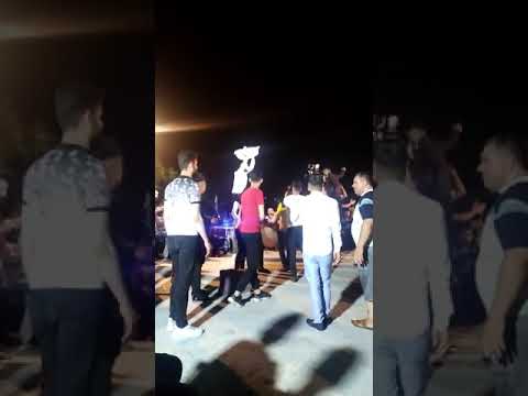 افراح ابو احمد المجدمي