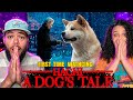 Hachi a dogs tale 2009  first time watch  movie reaction