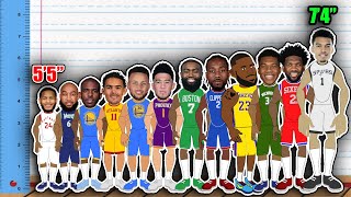 The Best NBA Player at Every Height! (2023-24)
