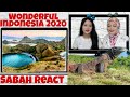 Wonderful Indonesia 2020 Reaction  By Malaysian