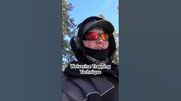 Wolverine Trapping Technique #alaskanative #enigmaticgwichin #alaska #trapping #shorts