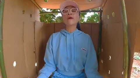 Căn nhà tổ chim cực khủng của tiểu bảo thúi