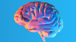 Autobiographical Memory