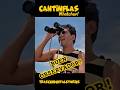 Cantinflas.. observando!