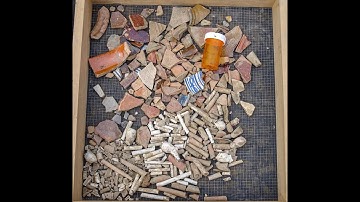 “One man gathers what another man spills”: Dig Deeper Episode 41 - Digging a 17th-Century Midden