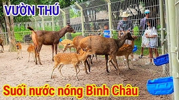du lịch khám phá chuồng thú khu du lịch sinh thái suối nước nóng Bình châu 🔥 du lịch Vũng Tàu