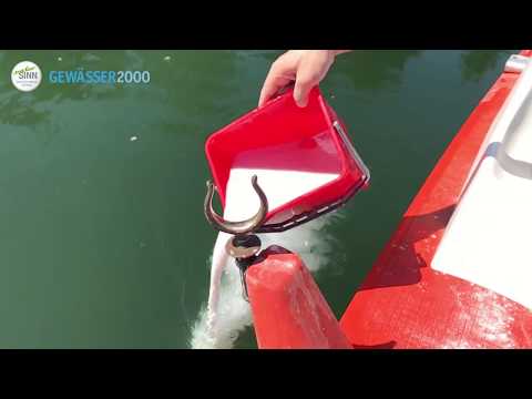 Video: Wie entferne ich Schlamm aus einem See?