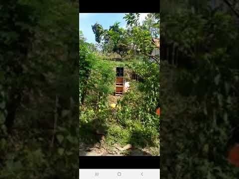 cek sound S.A AUDIO live di semak semak