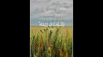 القارئ سعود الشريم _ وزكريا إذ نادى ربّه ربي لا تذرني فردا وأنت خير الوارثين... _ سورة الأنبياء