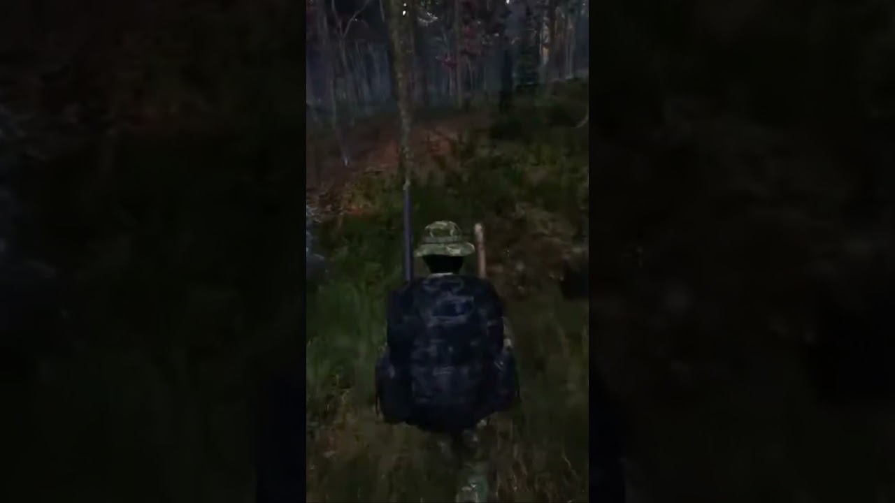 #dayz