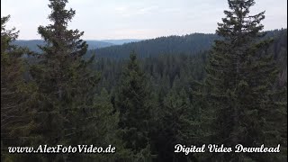 Digital video download for sale, Black Forest, Germany, Drone video