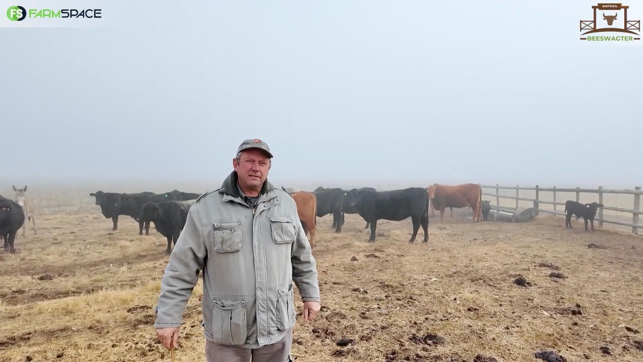 Rietkuil Beeswagter | Giet jou eie beton-beeswagters op die plaas