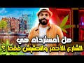 المنطقة الحمراء في أمستردام Amsterdam 4K