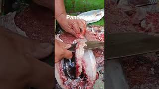 #dabendorblog #fypyoutube  #tutorialvideo
