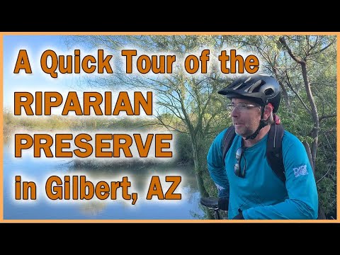 Video: Riparian Preserve tại Water Ranch ở Gilbert, AZ