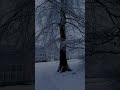 #schnee #winterstimmung #wintermood #snowlover #winterzauber #winterlover