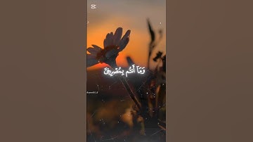 قرآن كريم راحة نفسية #اكسبلور #دويتو #لايك #تيك_توك #freefirelovers #duet #فري_فاير #ببجي #ترند