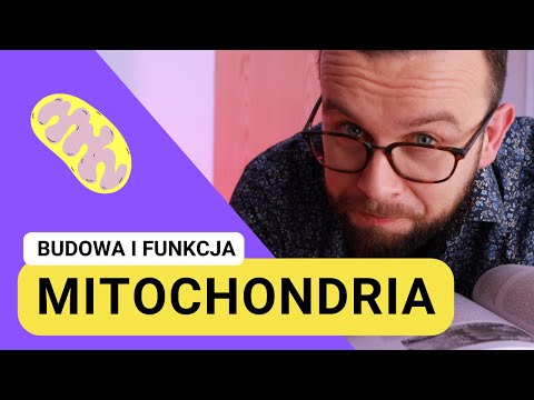 Wideo: Czym jest mitochondrium w biologii?