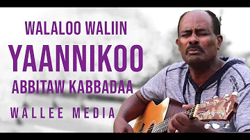 Abitew Kebede - Yaannikoo - Oromo Music Lyrics [HD]