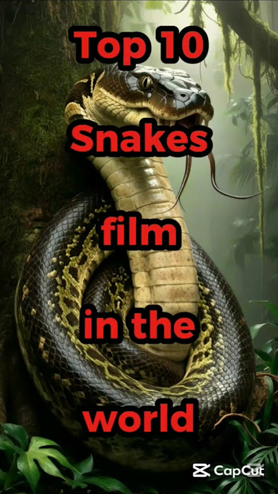 Top 10 snakes film in the world #snakes #anaconda #python #film #anacondafilm