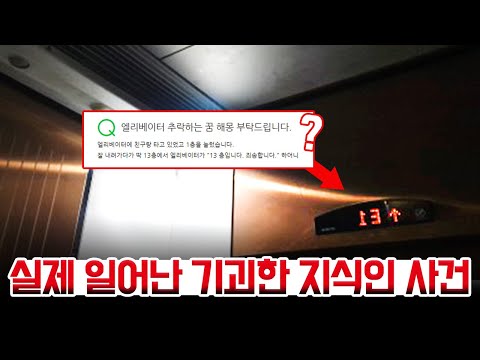 실제 일어난 기괴한 지식인 사건 모음-②