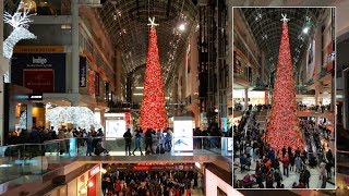Canada's largest 100 foot tall christmas tree was unveiled last night
at the cf toronto eaton centre – all impossibly sparkly, glowing,
bright red feet o...