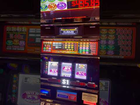 1XBET CASINO SLOTS|1XBET PGSLOTS 1XBET CASINO 1xcasino PG SLOTS#1xbet#megapari#promocode