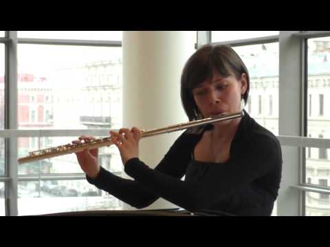 Жюль Муке - Соната для флейты и фортепиано «Флейта пана» 11.11.2015 Мариинка-2 Фойе Стравинского