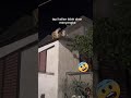 Mereview Video yang Terlihat Biasa, Tapi Ending-nya Bikin Semua Kaget!" #fakta #cat #viral