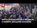 Масштаб колонны на марше пенсионеров и медиков 9 ноября