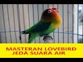 MASTERAN LOVEBIRD  MP3- JEDA SUARA AIR FULL HD