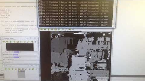 Disparity map measuring distance of a small area