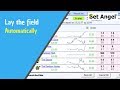 Lay the field - Betfair trading strategies - Automate it on Bet Angel