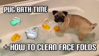 Pug Puppy Bath Routine + How To Properly Clean Face Folds